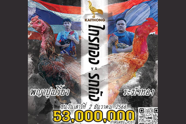 ไก่ชนเงินล้าน คู่ประวัติศาสตร์ ไทย-ลาว ชิง 53,000,000 บาท ไก่ชนเงินล้าน คู่ประวัติศาสตร์ ไทย-ลาว ชิง 53,000,000 บาท